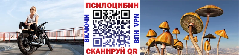 Купить где  Рыбинск  Галлюциногенные грибы GOLDEN TEACHER 